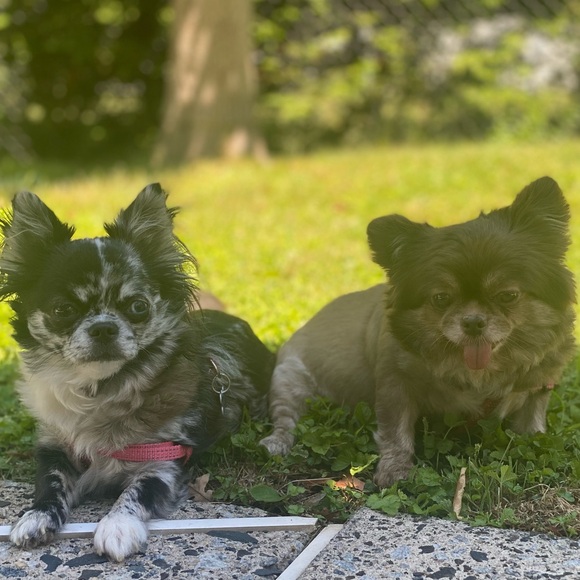 Meet your Posher, Darryl - Picture 4 of 6